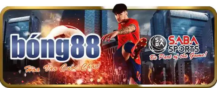 Chiến lược cá cược chọi gà